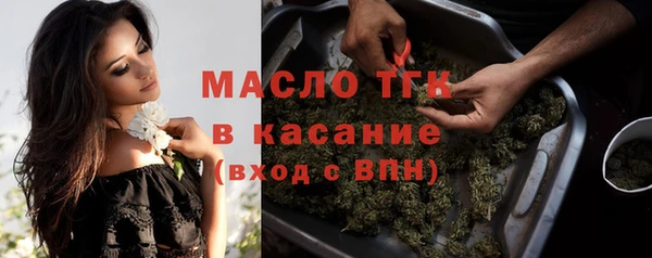 гашик Гусь-Хрустальный