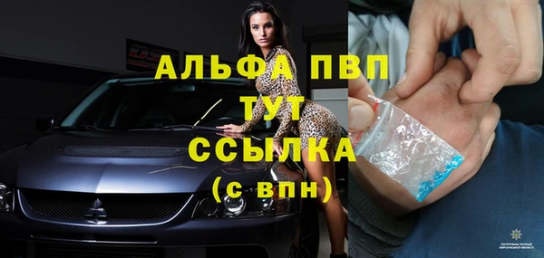 стаф Горнозаводск