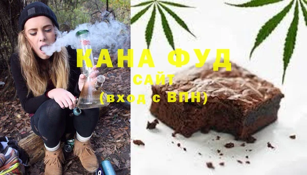 гашик Гусь-Хрустальный