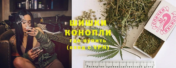 гашик Гусь-Хрустальный